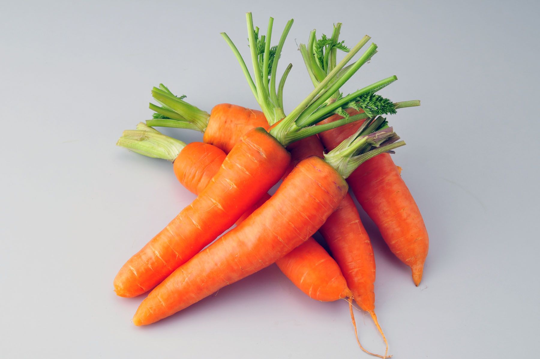 胡萝卜的种植方法和种植时机